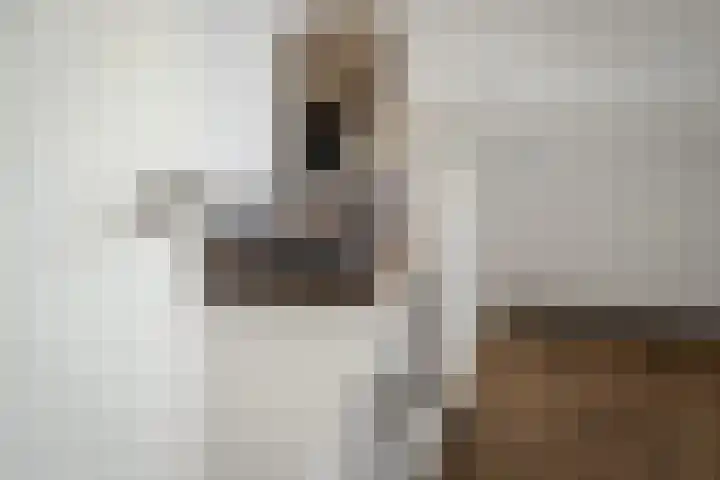 IJsvogel 28 Muiden thumbnail 59