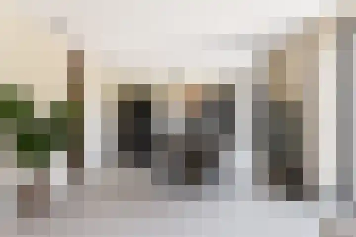 IJsvogel 28 Muiden thumbnail 6