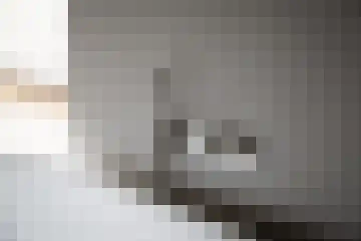 IJsvogel 28 Muiden thumbnail 62