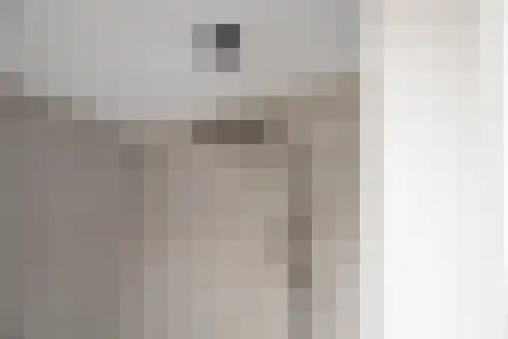 IJsvogel 28 Muiden thumbnail 63