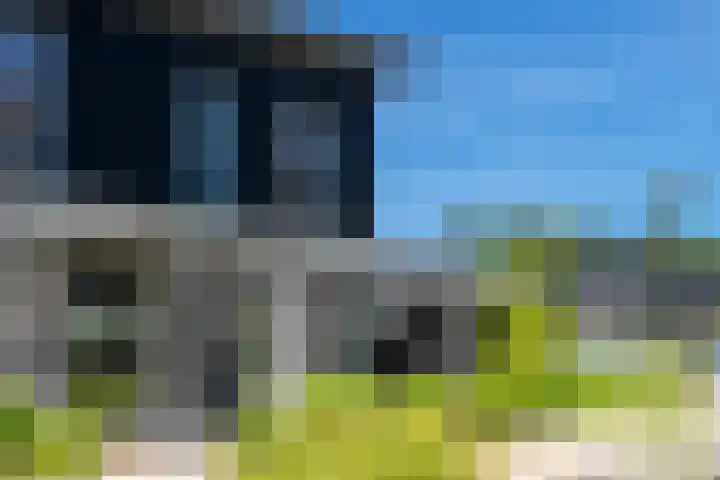IJsvogel 28 Muiden thumbnail 65