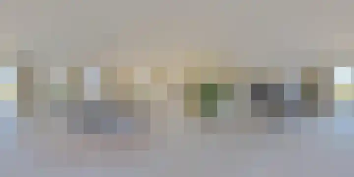 IJsvogel 28 Muiden thumbnail 66