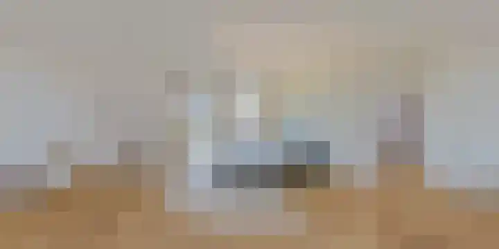 IJsvogel 28 Muiden thumbnail 67