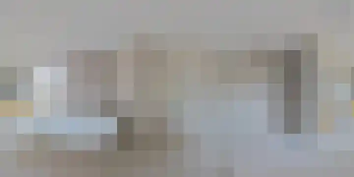 IJsvogel 28 Muiden thumbnail 69
