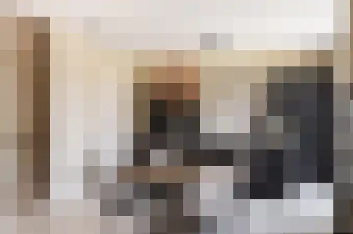 IJsvogel 28 Muiden thumbnail 7