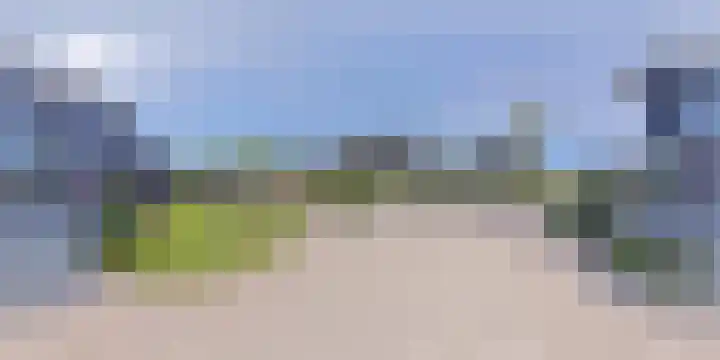 IJsvogel 28 Muiden thumbnail 70