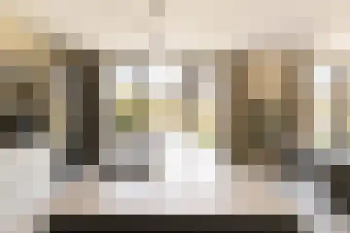 IJsvogel 28 Muiden thumbnail 8