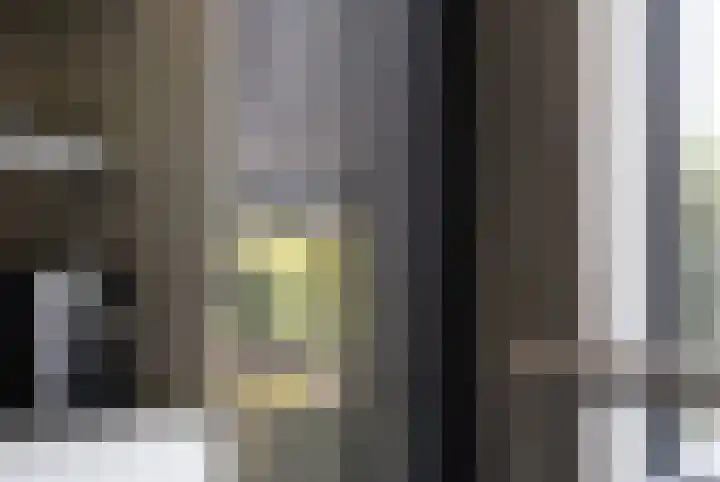 IJsvogel 28 Muiden thumbnail 9