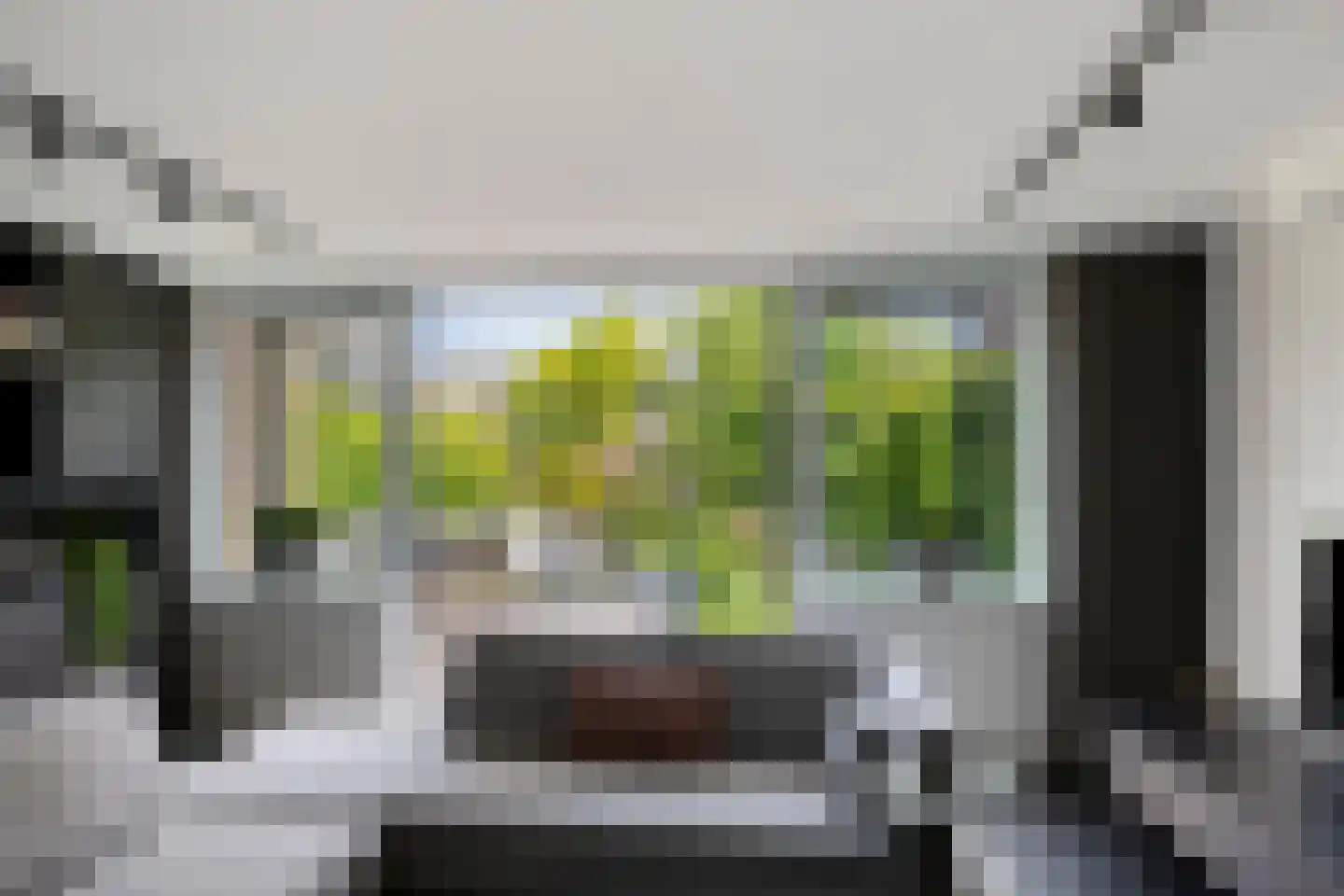 IJsvogel 30 Harmelen thumbnail 10