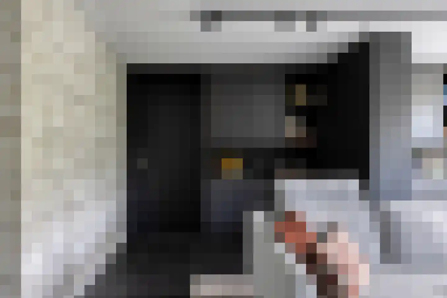 IJsvogel 30 Harmelen thumbnail 11