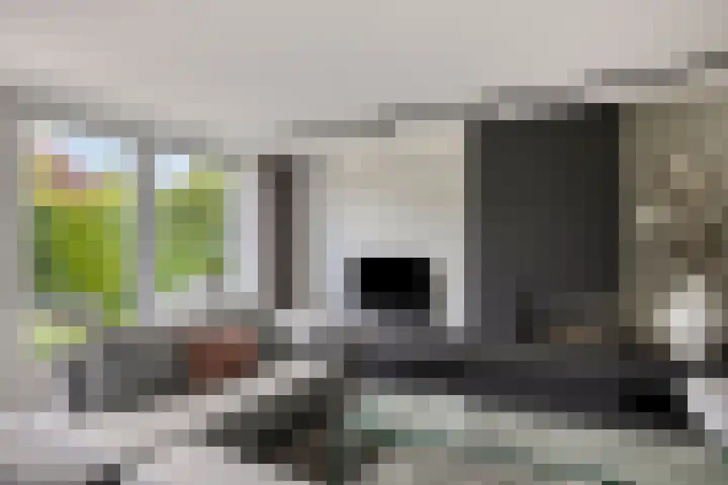 IJsvogel 30 Harmelen thumbnail 12