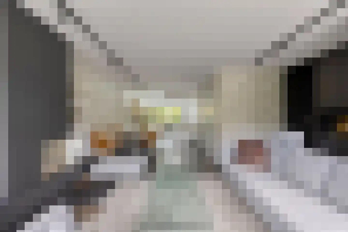 IJsvogel 30 Harmelen thumbnail 14