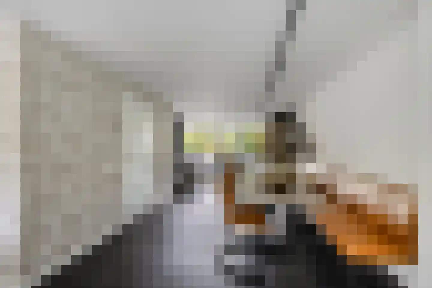 IJsvogel 30 Harmelen thumbnail 15