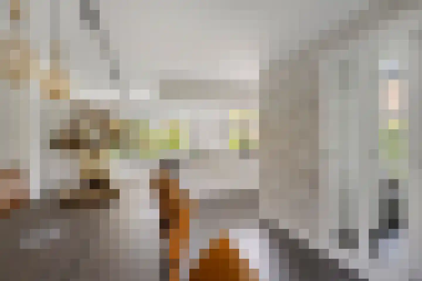 IJsvogel 30 Harmelen thumbnail 16