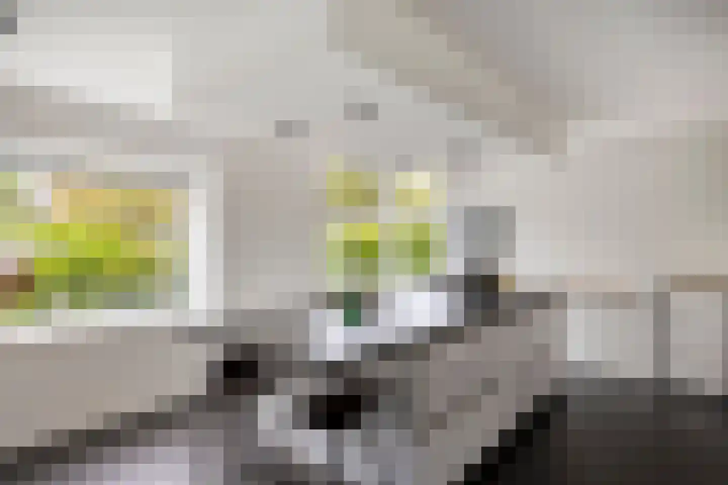 IJsvogel 30 Harmelen thumbnail 17