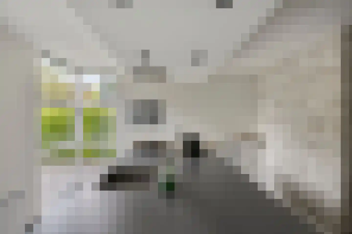 IJsvogel 30 Harmelen thumbnail 18
