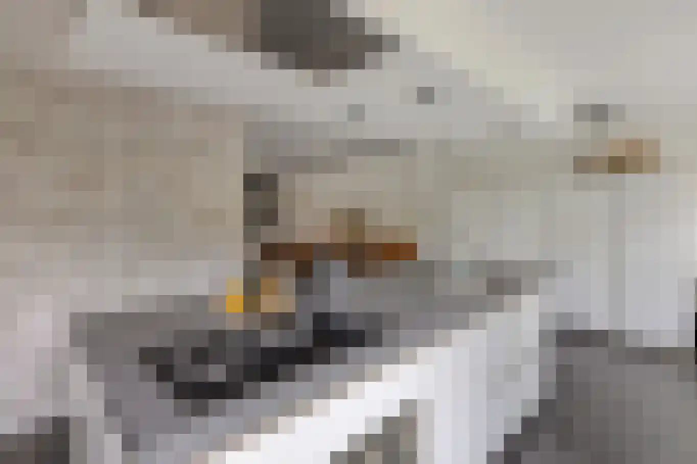IJsvogel 30 Harmelen thumbnail 19