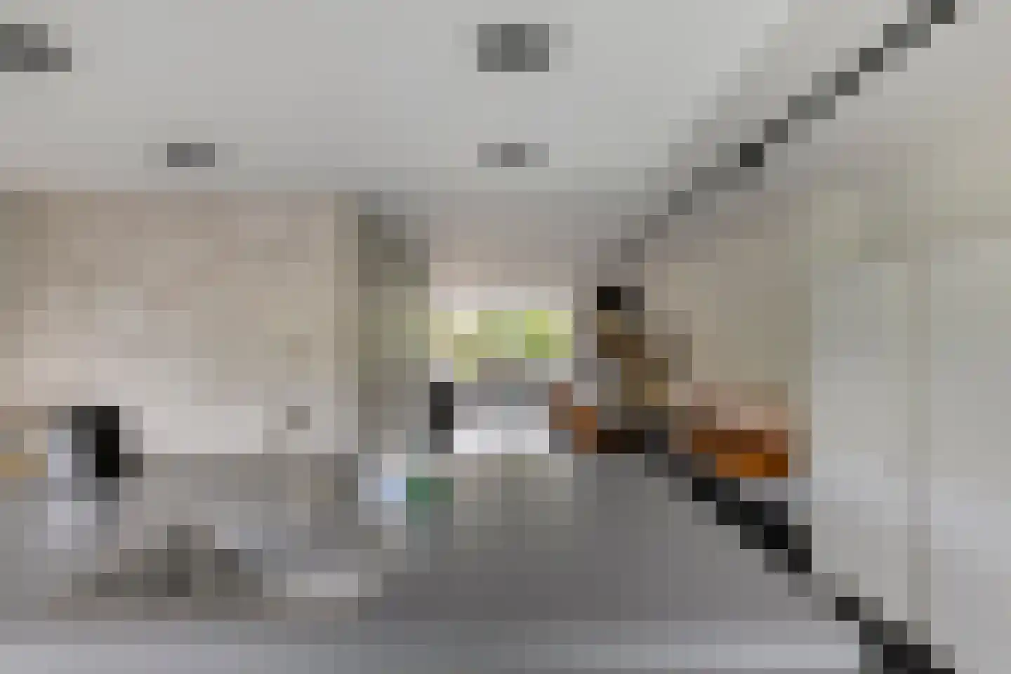 IJsvogel 30 Harmelen thumbnail 20