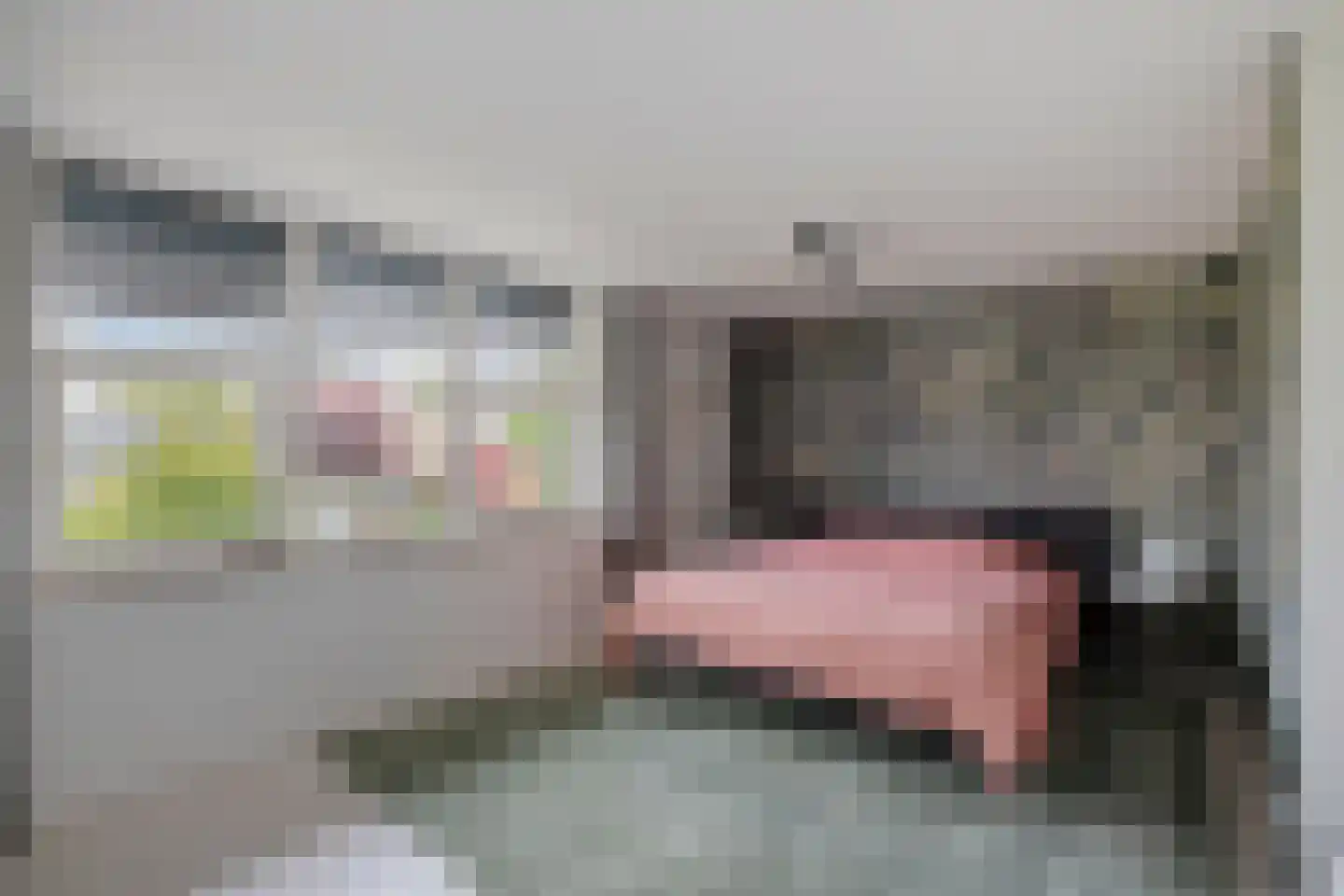 IJsvogel 30 Harmelen thumbnail 22