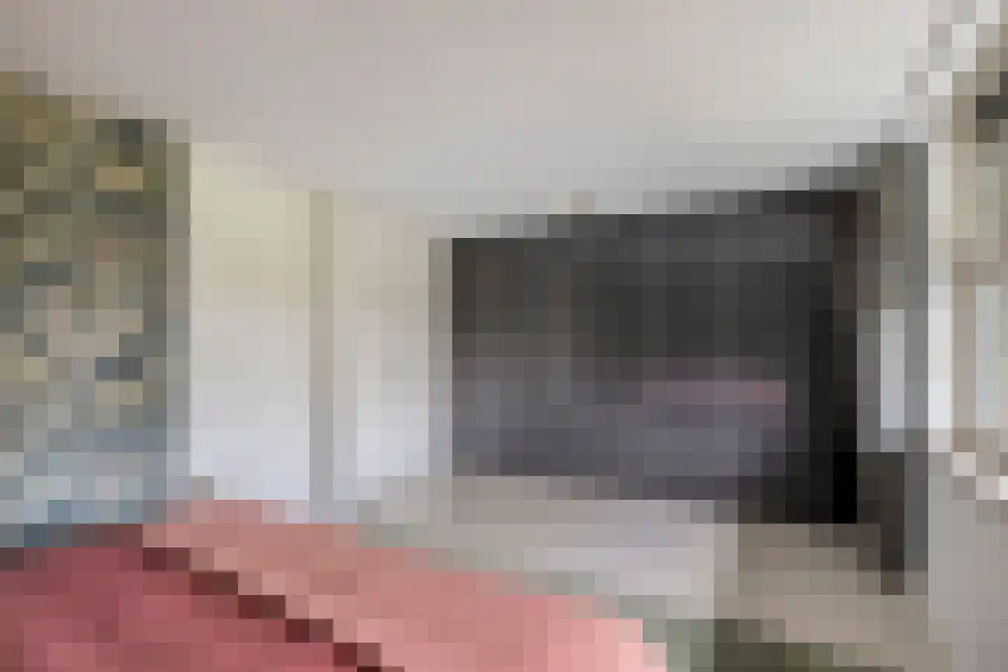 IJsvogel 30 Harmelen thumbnail 23