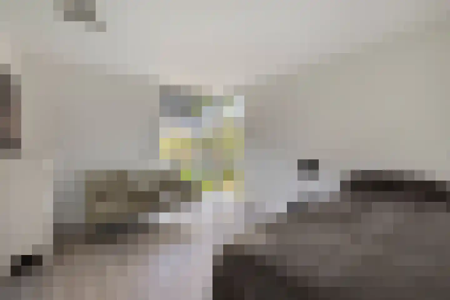 IJsvogel 30 Harmelen thumbnail 24