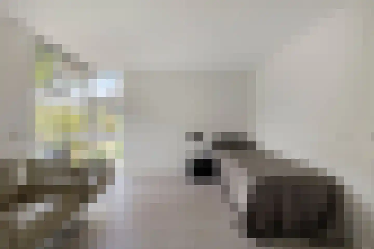 IJsvogel 30 Harmelen thumbnail 25