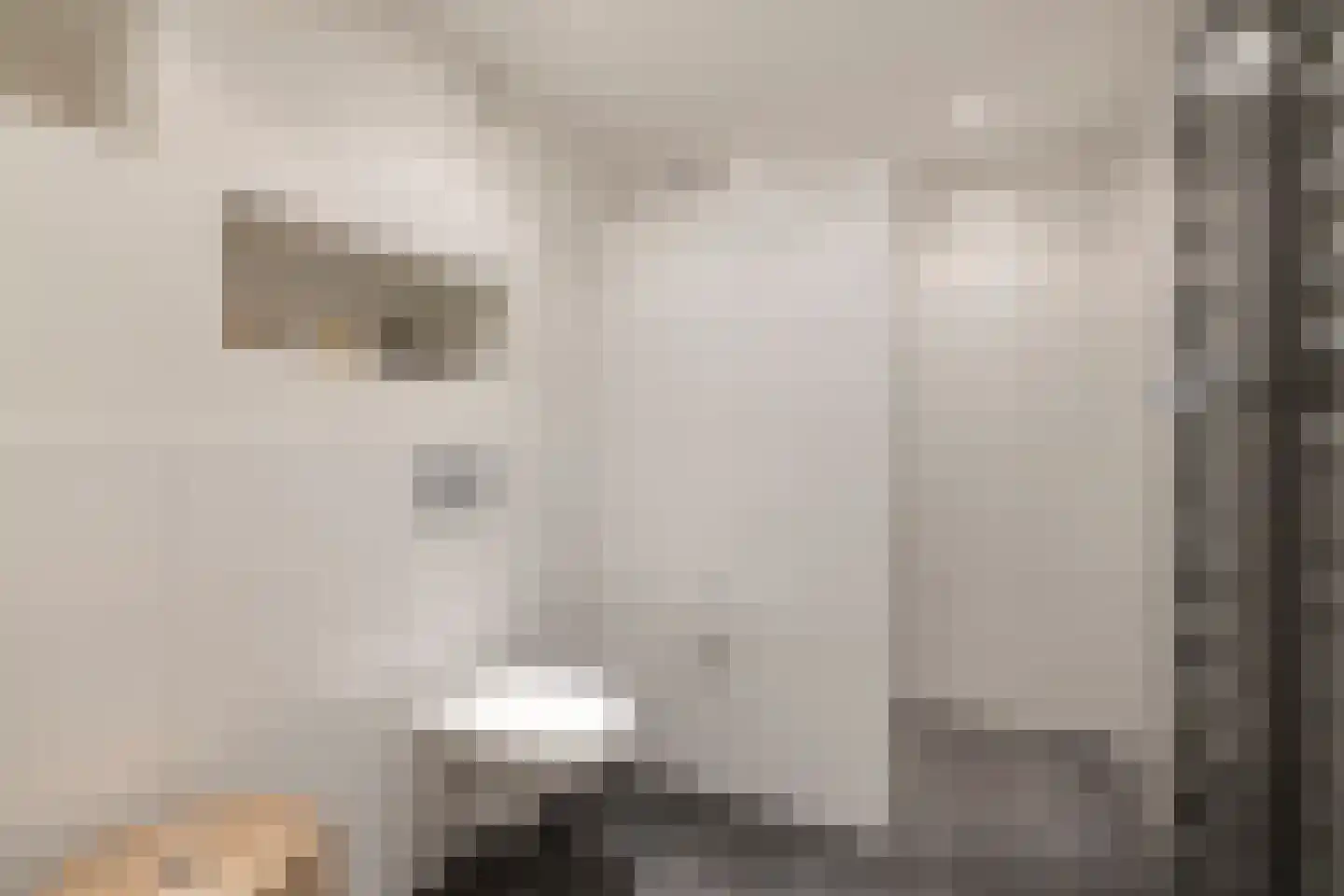 IJsvogel 30 Harmelen thumbnail 28