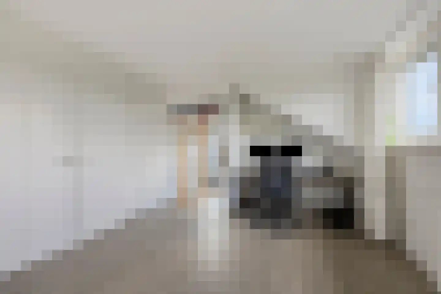IJsvogel 30 Harmelen thumbnail 30