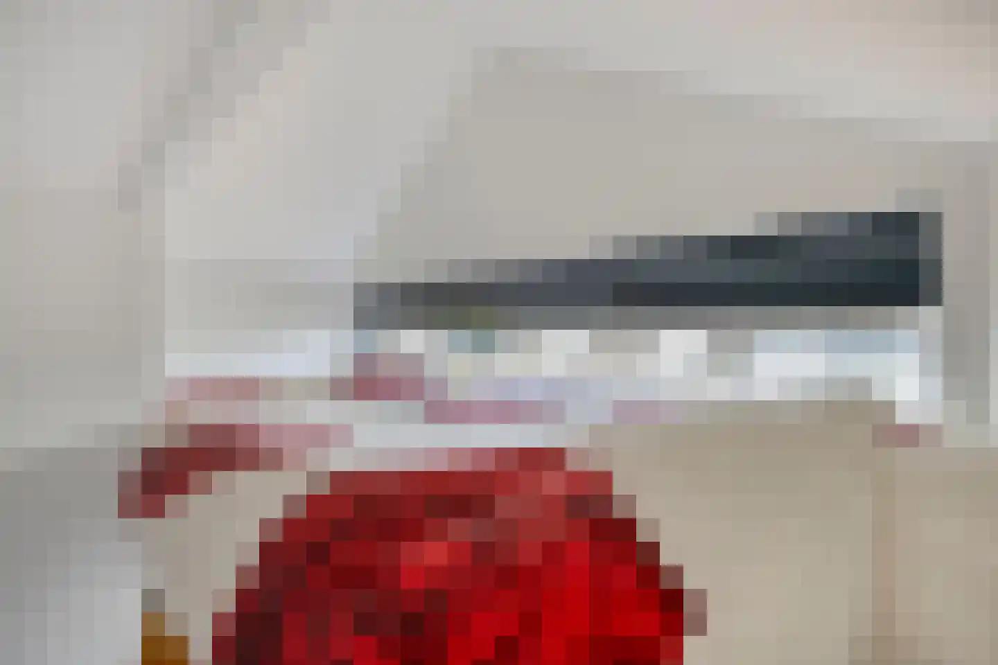IJsvogel 30 Harmelen thumbnail 31