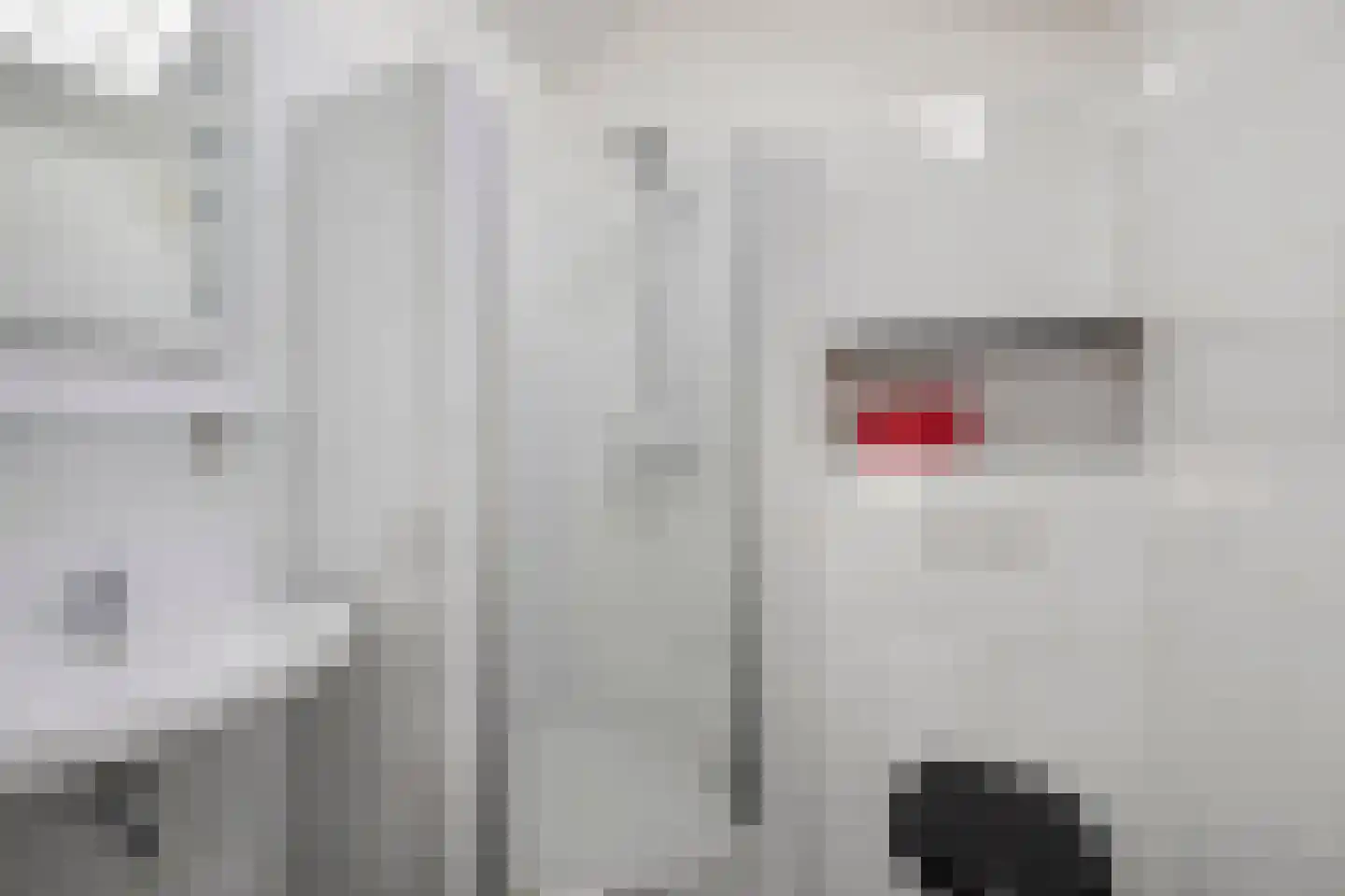 IJsvogel 30 Harmelen thumbnail 34