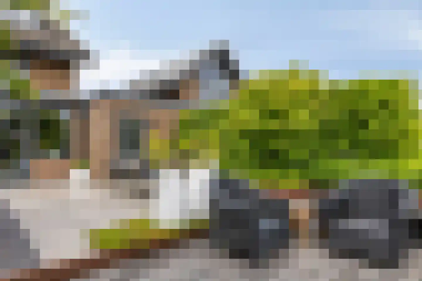 IJsvogel 30 Harmelen thumbnail 39