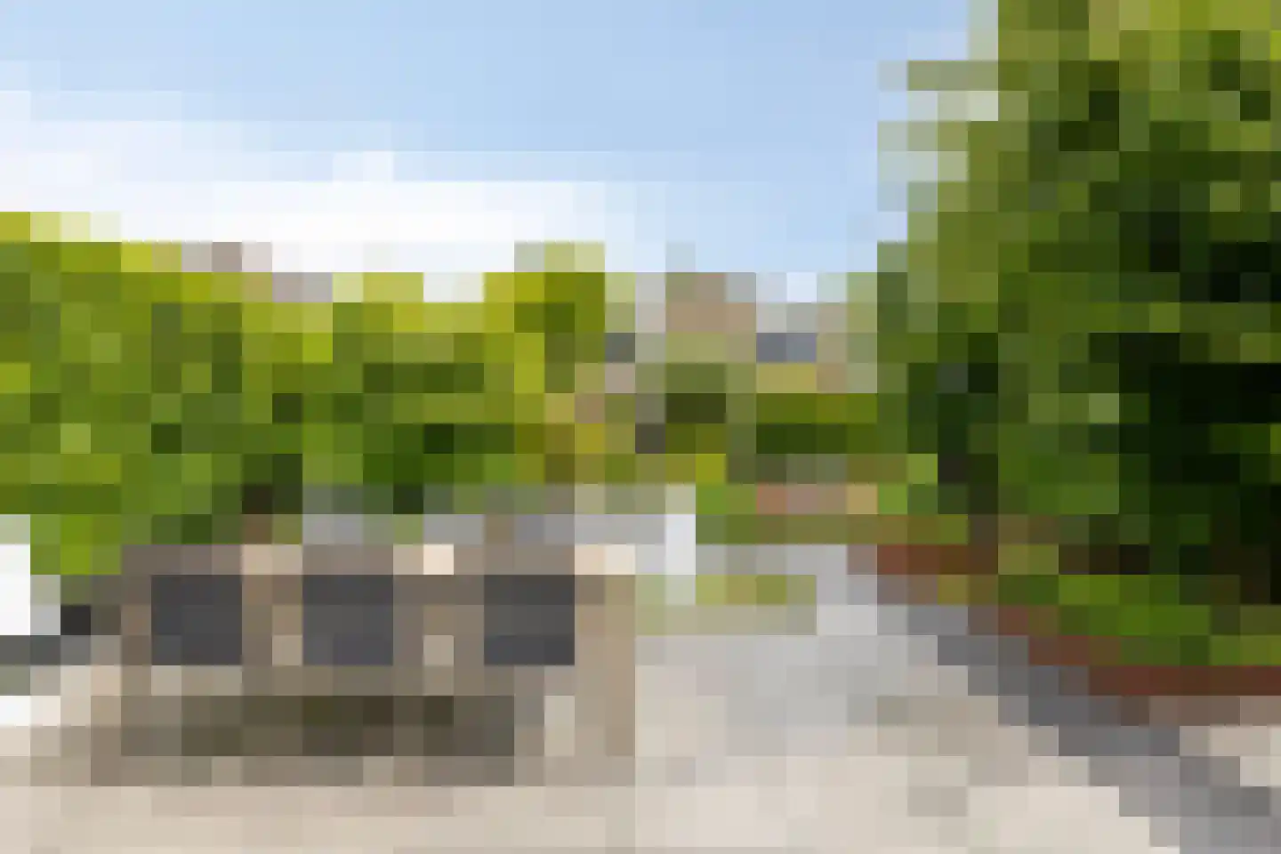 IJsvogel 30 Harmelen thumbnail 4