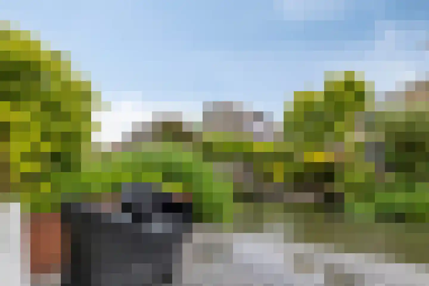 IJsvogel 30 Harmelen thumbnail 40