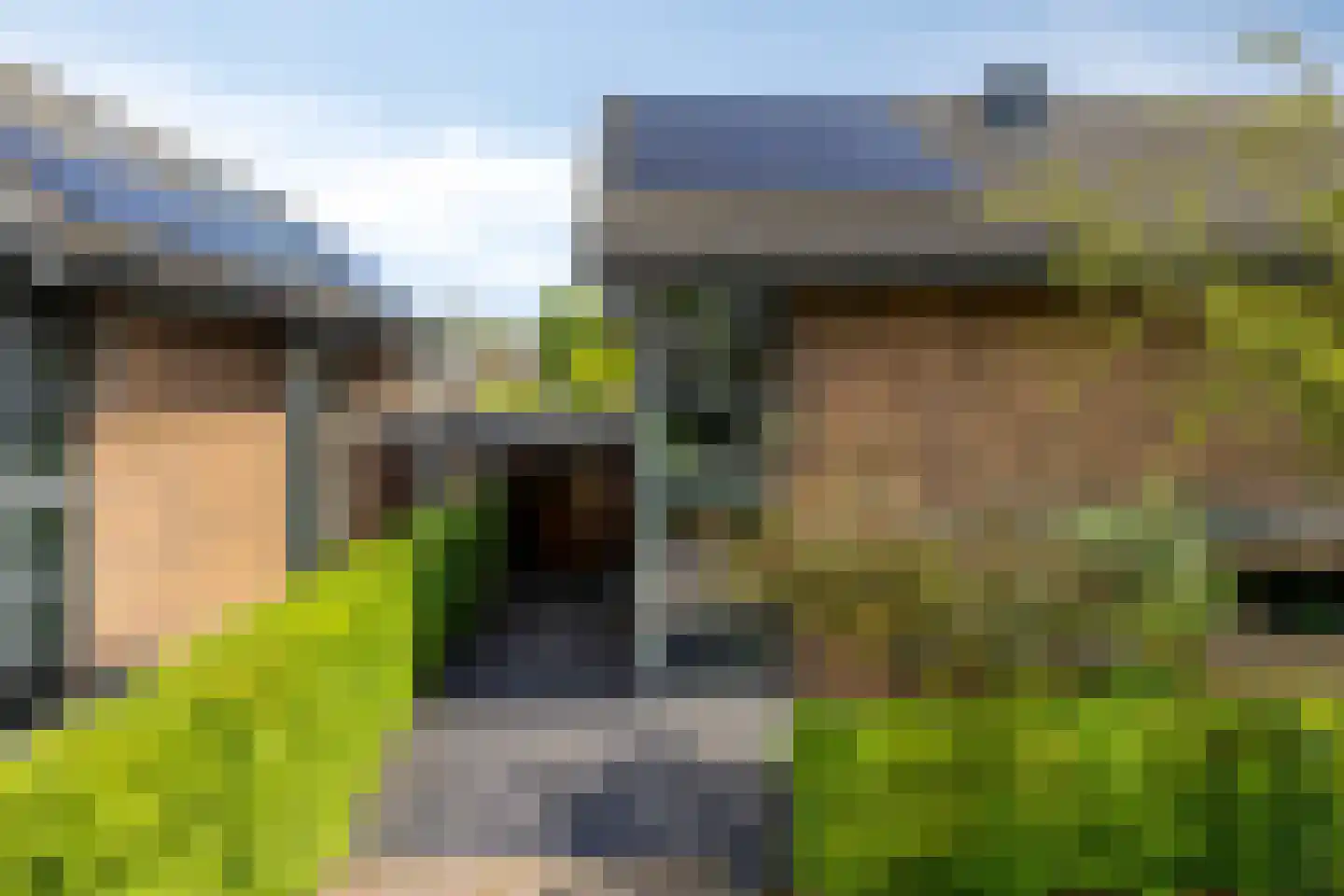 IJsvogel 30 Harmelen thumbnail 5