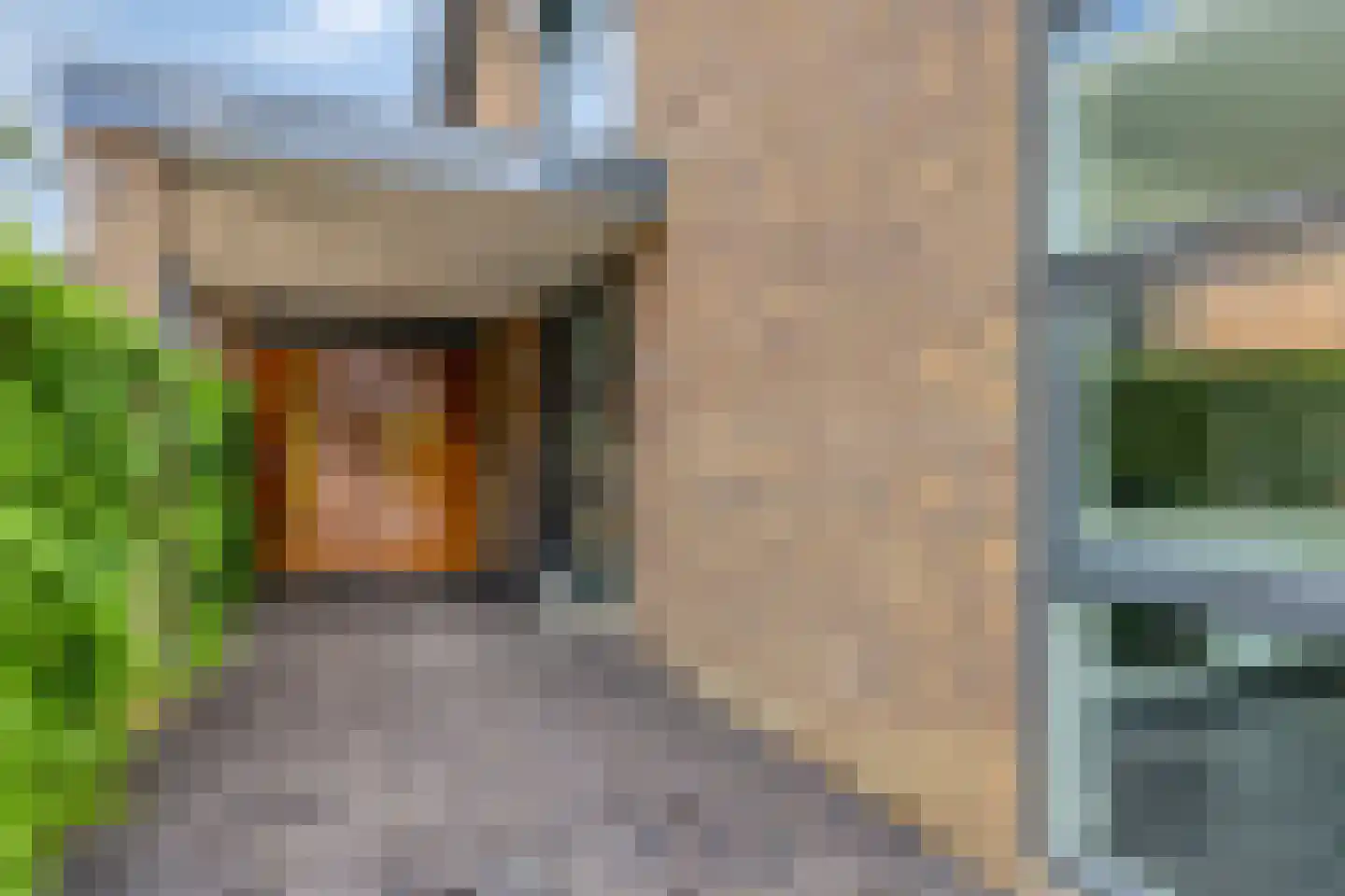 IJsvogel 30 Harmelen thumbnail 7