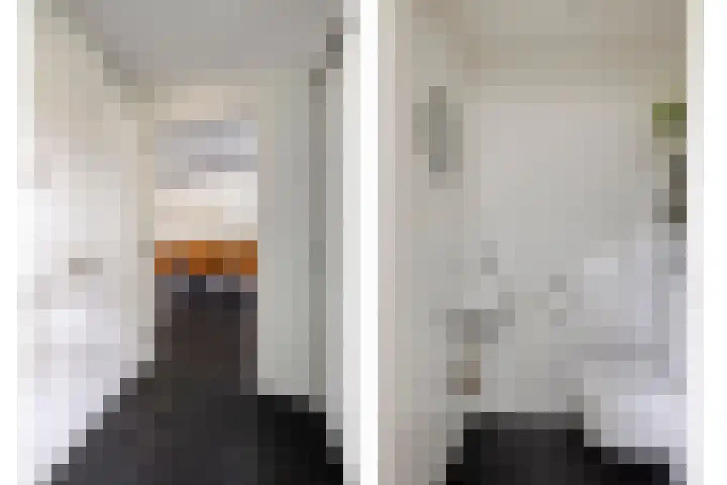 IJsvogel 30 Harmelen thumbnail 8