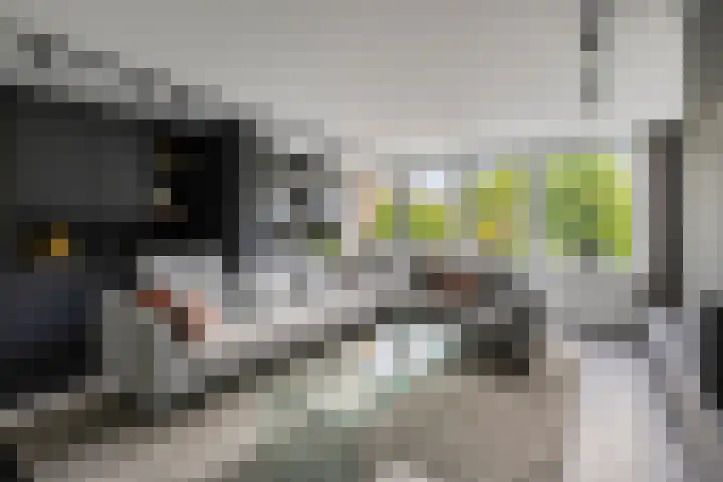 IJsvogel 30 Harmelen thumbnail 9