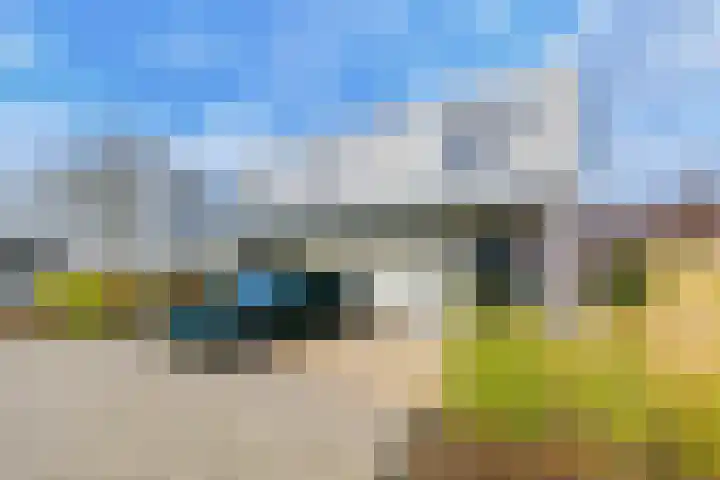 IJsvogel 4 en Muiden