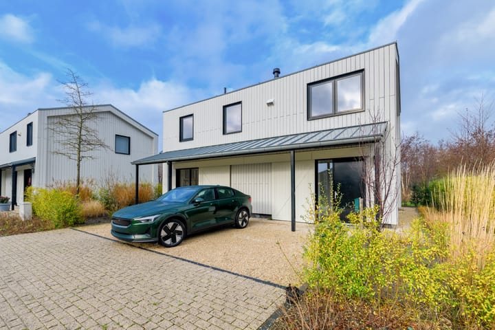 IJsvogel 4 in Muiden foto