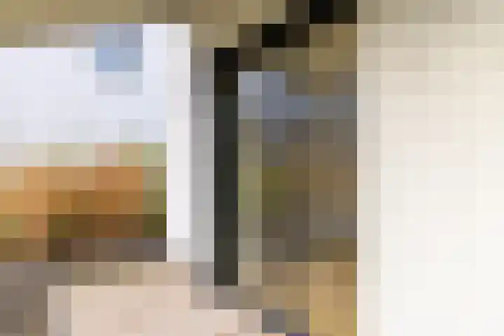 IJsvogel 4 Muiden thumbnail 11