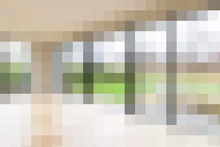 IJsvogel 4 Muiden thumbnail 12