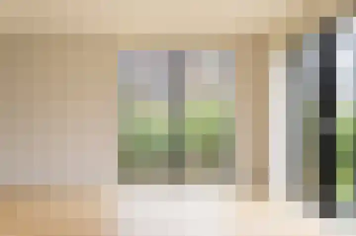 IJsvogel 4 Muiden thumbnail 13