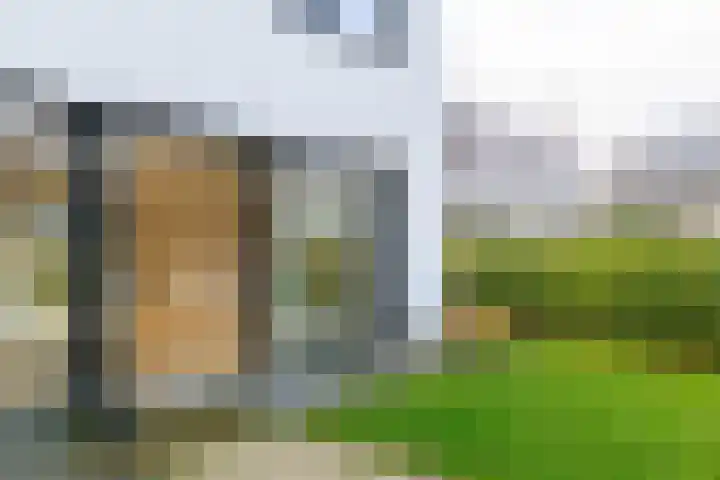 IJsvogel 4 Muiden thumbnail 14