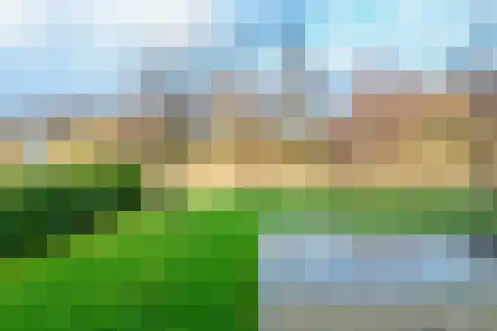 IJsvogel 4 Muiden thumbnail 15