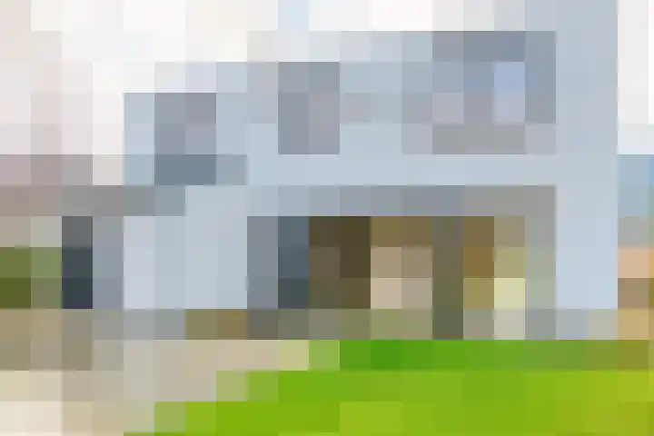 IJsvogel 4 Muiden thumbnail 16