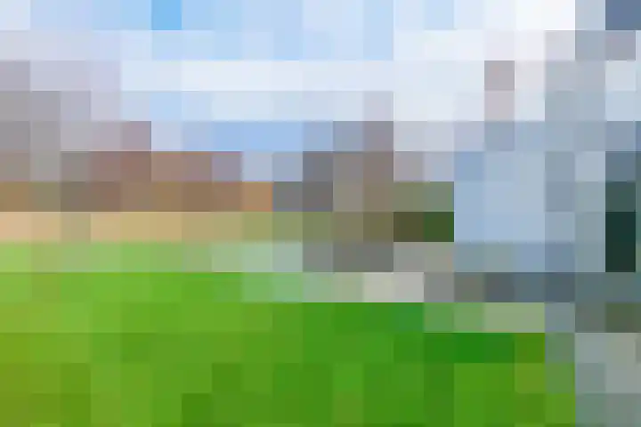 IJsvogel 4 Muiden thumbnail 17