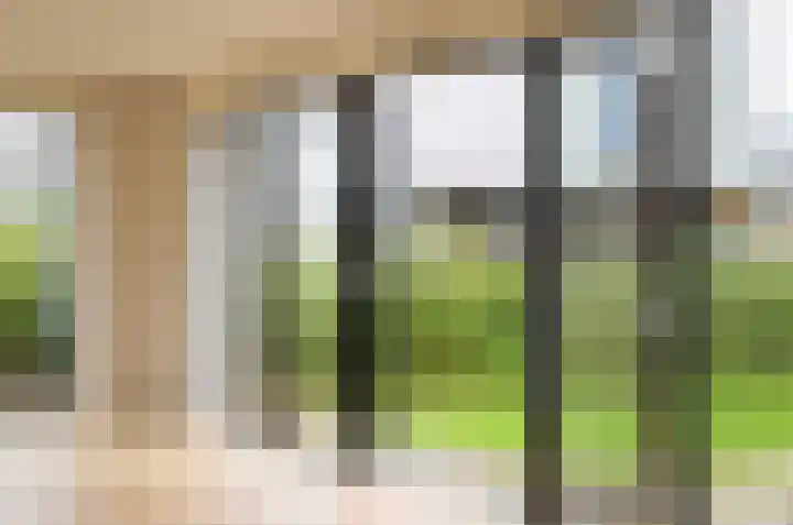 IJsvogel 4 Muiden thumbnail 18