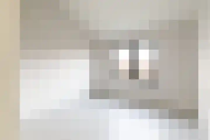 IJsvogel 4 Muiden thumbnail 21
