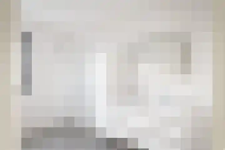 IJsvogel 4 Muiden thumbnail 22