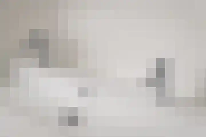 IJsvogel 4 Muiden thumbnail 23